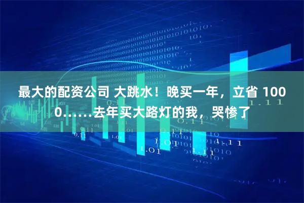 最大的配资公司 大跳水！晚买一年，立省 1000……去年买大路灯的我，哭惨了